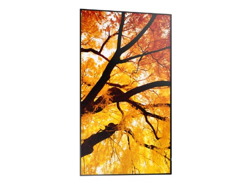 Sharp MultiSync M502 Digital signage flat panel 127 cm (50") LCD 550 cd/m² 4K Ultra HD Black 24/7