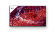 SONY 65” BRAVIA BZ40P | 4K UHD HDR | 24/7 Professional Display | Deep Black Non-Glare Premium | IP5X