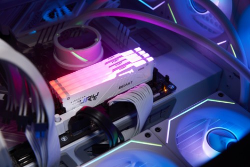 Kingston Technology FURY Beast 32GB 6000MT/s DDR5 CL30 DIMM (Kit of 2) White RGB EXPO