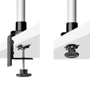StarTech.com Desk Mount Monitor Arm For 27in 16:9 or 30in 21:9 Ultrawide Screens, VESA 75x75/100x100, Tool-Less Mechanical Spring Arm, C-Clamp/Grommet, TAA