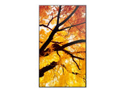 SHARP BUNDLE: SHARP DIGITAL DISPLAY (PN-M) 98" 4K UHD DISPLAY + ATDEC FIXED ANGLE WALL MOU