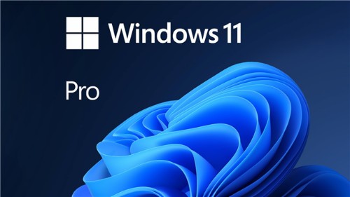 Microsoft Windows 11 Pro OEM