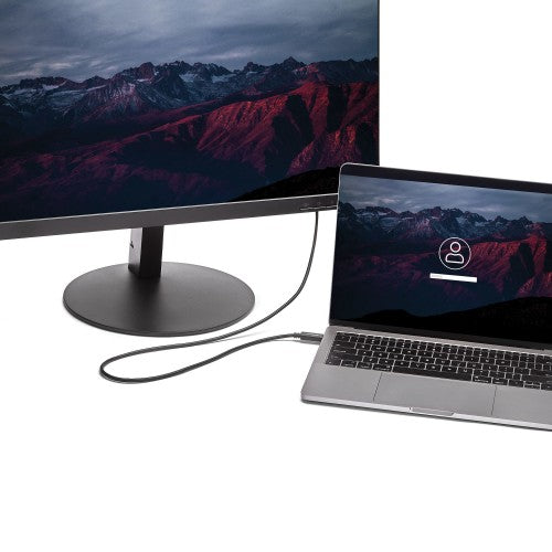 StarTech.com 6.6 ft (2m) USB-C to DVI Cable - 1920 x 1200 - Black