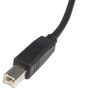 StarTech.com 6 ft USB 2.0 Certified A to B Cable - M/M
