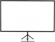 EPSON 80 PORTABLE TRIPOD PROJECTOR SCREEN WIDESCREEN INCL SHOULDER BAG