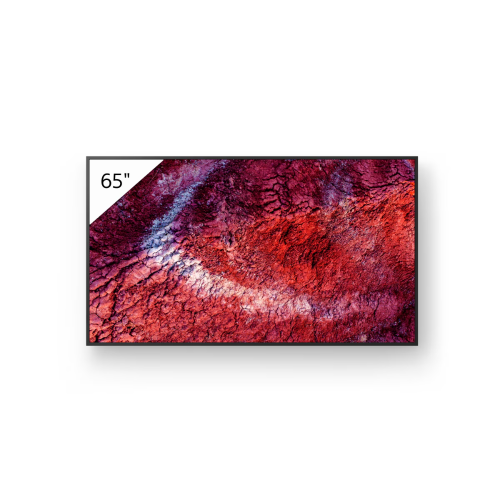 SONY 65” BRAVIA BZ40P | 4K UHD HDR | 24/7 Professional Display | Deep Black Non-Glare Premium | IP5X
