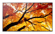 SHARP BUNDLE: SHARP DIGITAL DISPLAY (PN-M) 98" 4K UHD DISPLAY + ATDEC FIXED ANGLE WALL MOU