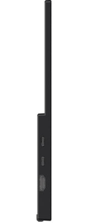 MSI PRO MP165 E6 portable TV/monitor Portable monitor Black 39.6 cm (15.6") LED 1920 x 1080 pixels