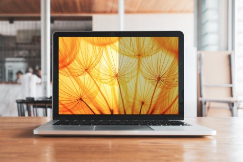 3M Bright Screen Privacy Filter for 13.5in Full Screen Laptop, 3:2, BP135C3E