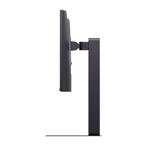 LG 25'' FHD Gaming Monitor
