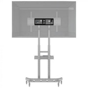Atdec AD-TVC-75 monitor mount / stand 2.03 m (80") Floor Black