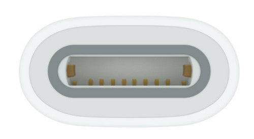 Apple MWML3FE/A stylus pen accessory White 1 pc(s)