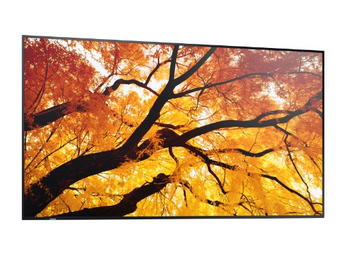 SHARP BUNDLE: SHARP DIGITAL DISPLAY (PN-M) 98" 4K UHD DISPLAY + ATDEC FIXED ANGLE WALL MOU
