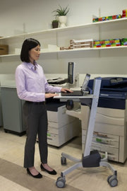 Ergotron Neo-Flex Laptop Cart Grey Multimedia cart/trolley