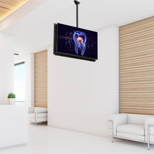 StarTech.com Dual TV Ceiling Mount - Back-to-Back Heavy Duty Hanging Dual Screen Mount with Adjustable Telescopic Pole - Tilt/Swivel/Rotate - VESA Bracket for 32”-75" Displays
